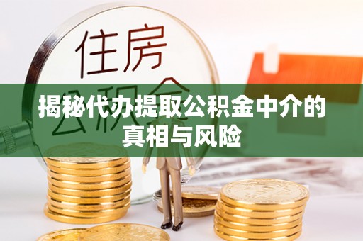 莱芜揭秘代办提取公积金中介的真相与风险