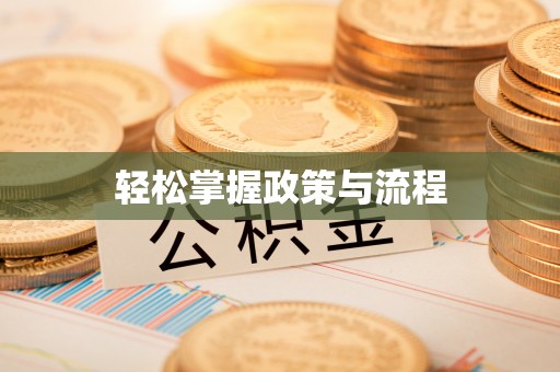 莱芜轻松掌握政策与流程