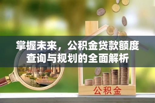 莱芜掌握未来，公积金贷款额度查询与规划的全面解析