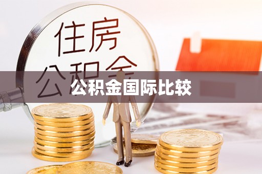 莱芜公积金国际比较