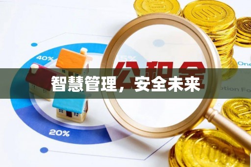 莱芜智慧管理，安全未来