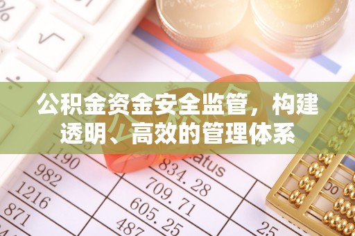 莱芜公积金资金安全监管，构建透明、高效的管理体系