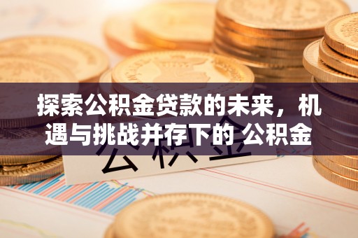 莱芜探索公积金贷款的未来，机遇与挑战并存下的 公积金贷款风险防控