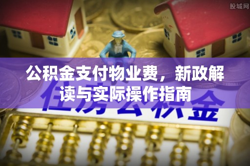 莱芜公积金支付物业费，新政解读与实际操作指南