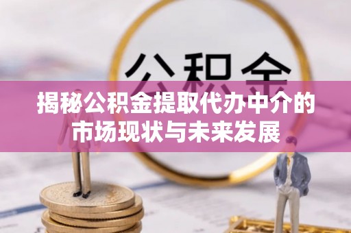 莱芜揭秘公积金提取代办中介的市场现状与未来发展