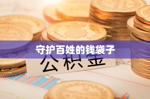 莱芜守护百姓的钱袋子